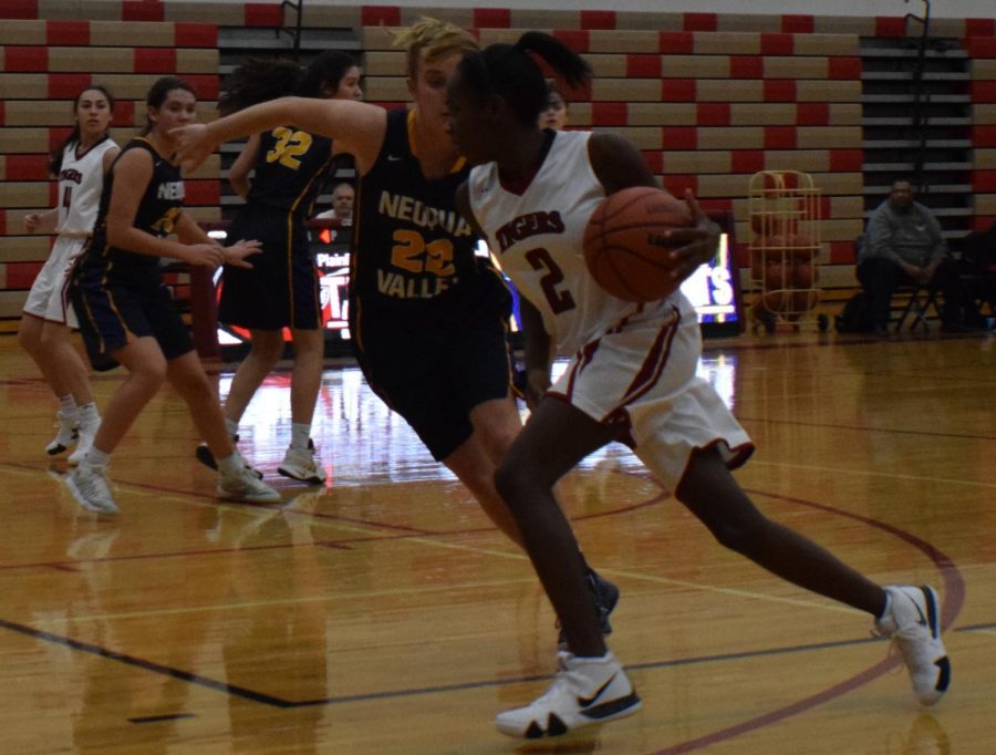 Tiger enthusiasm dribbles onto court