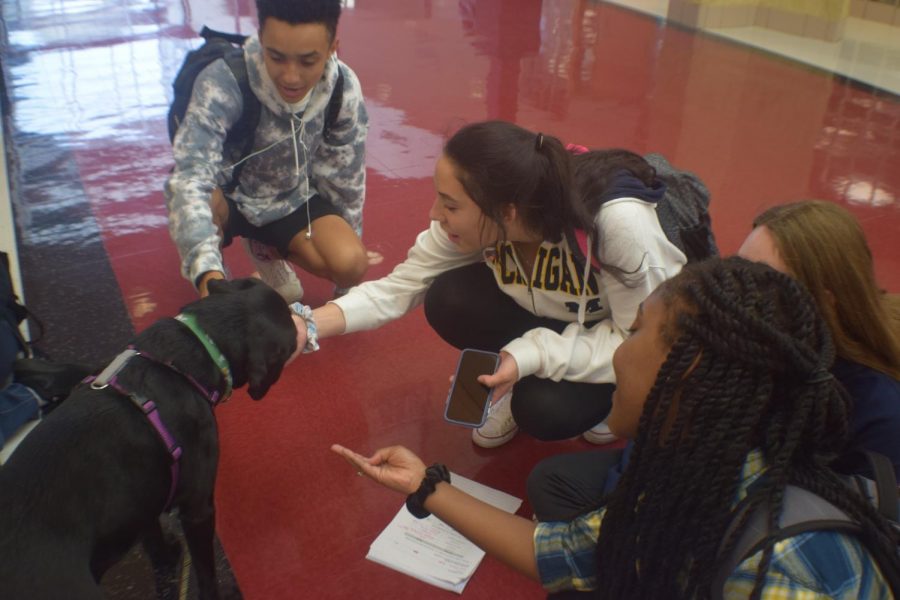 Juniors Bryce Girves and Emma Cantu get to know North's newest staff member, Chloe.