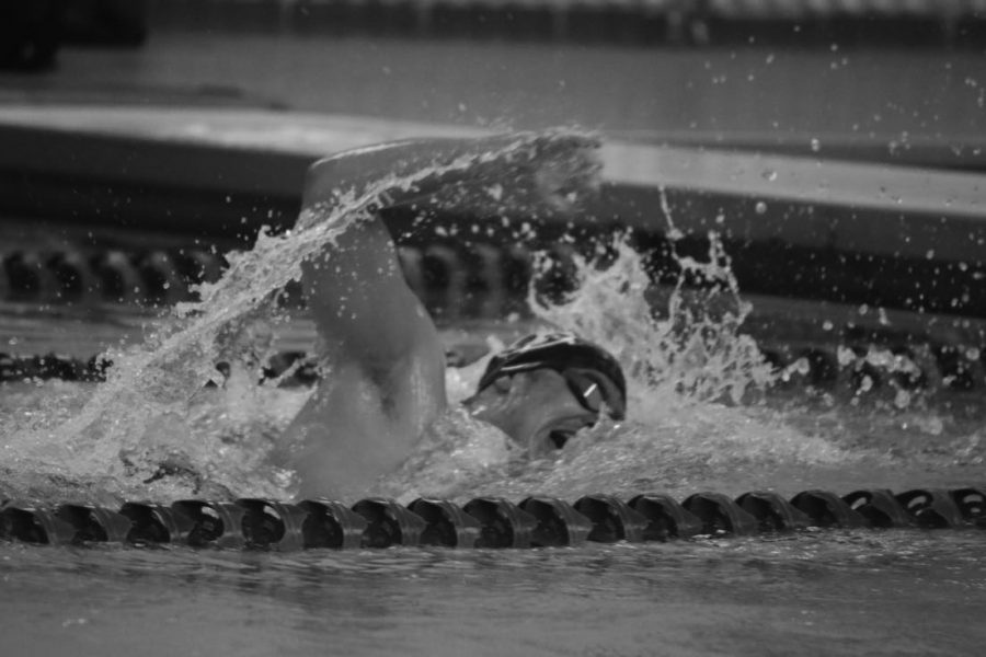 Boys’ swimming dominates conference