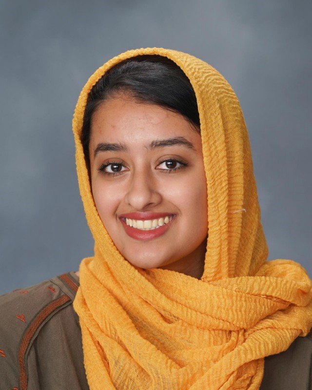 Best Hair Sajal Salim