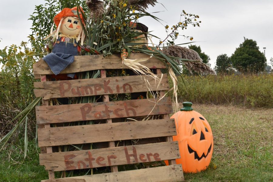 A scarecrow sits atop a sign welcoming guests into the corn maze
