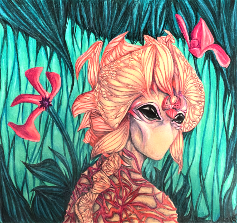 "Orchidaceae" drawn by senior Scarlette Connors was awarded second place at Lewis university's annual art show. Photo courtesy of Peter Quimby