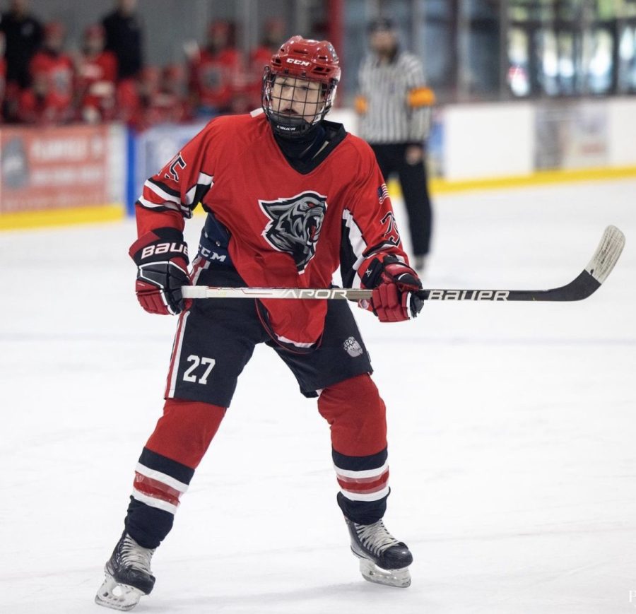 North sophomore wing CJ Rybka scans the defense during the Predators’ win over the Huskies. 